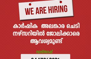നഴ്‌സറിയില്‍ ജോലിക്കാരെ ആവശ്യമുണ്ട്.