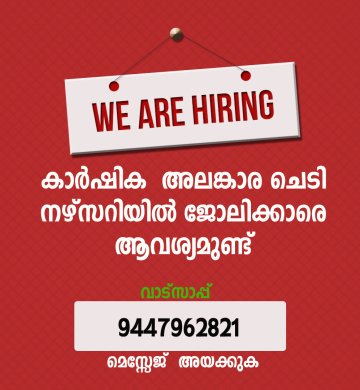 നഴ്‌സറിയില്‍ ജോലിക്കാരെ ആവശ്യമുണ്ട്.