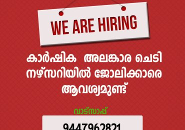 നഴ്‌സറിയില്‍ ജോലിക്കാരെ ആവശ്യമുണ്ട്.