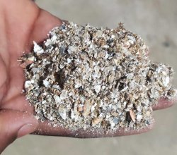 പച്ചകക്ക പൊടിച്ചത്