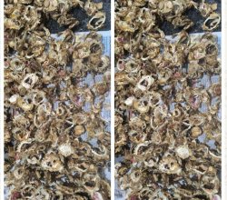 കൊണ്ടാട്ടം വില്പനയ്ക്ക്