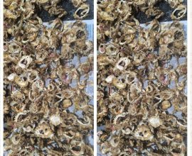 കൊണ്ടാട്ടം വില്പനയ്ക്ക്