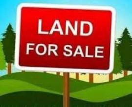 കോട്ടയത്ത് 6.15 സെന്റ് സ്ഥലം വില്പനയ്ക്ക്