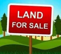 ചേന്നാട് മൂന്നേക്കര് സ്ഥലം വില്പ്പനയ്ക്ക്