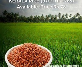 നാടന്‍ കുത്തരി വില്പനക്ക്